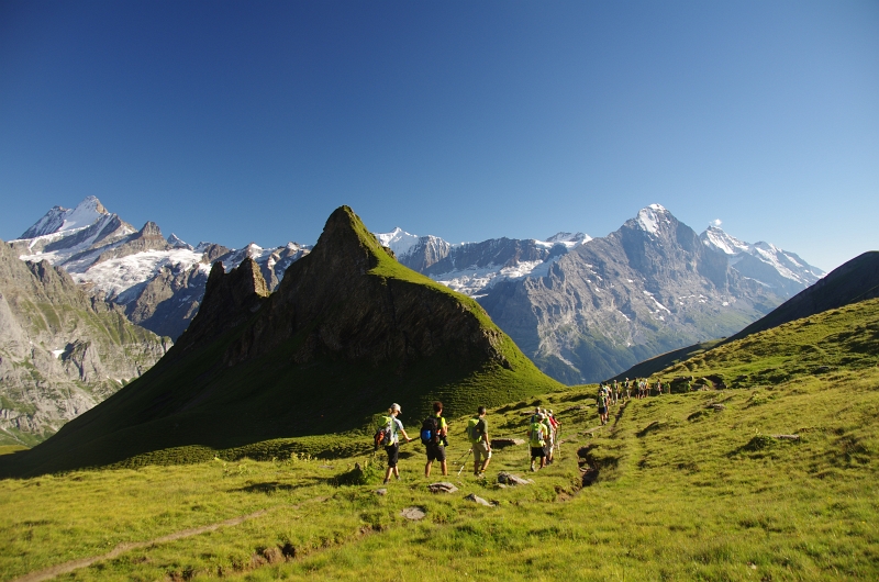 24h Hike Mammut_Ochsner 'Schwarzhorn_First 2166m' 18_08_2012 (75).JPG